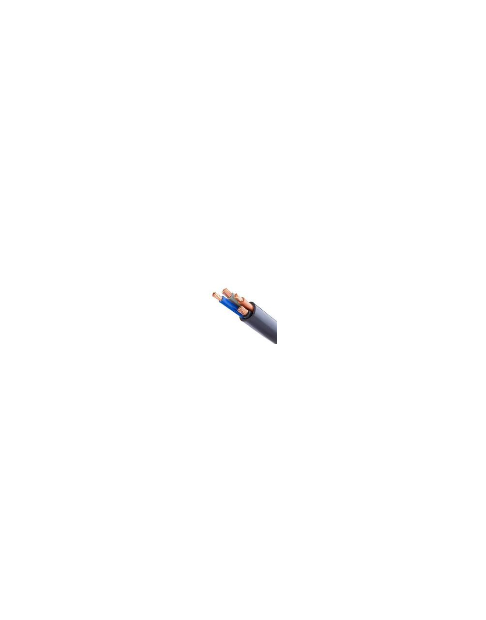 images_21_199280244